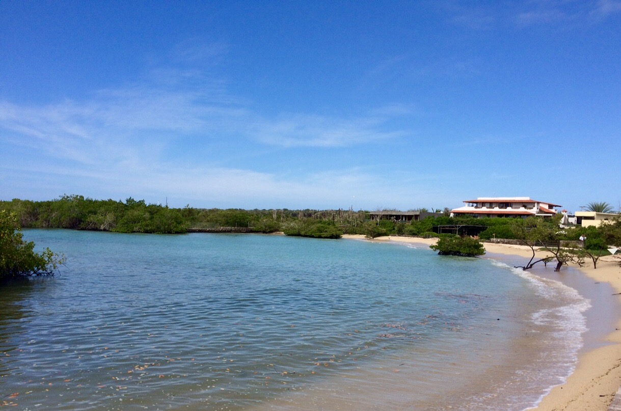 Foto av Playa los alemanes med ljus sand yta