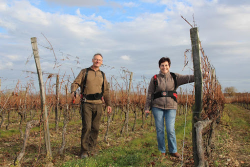 Domaine André à Villars-les-Bois