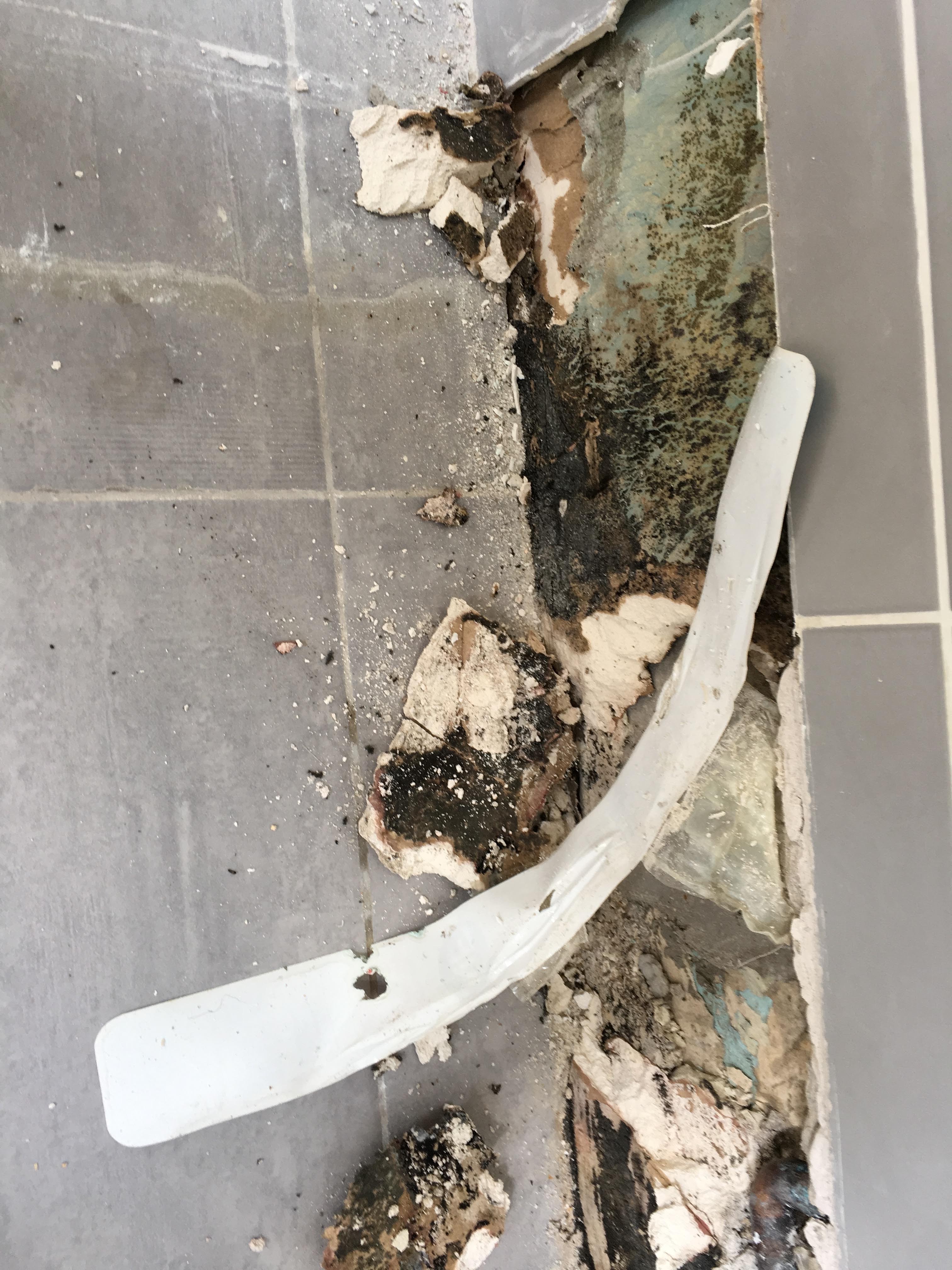 Photo n° 3 de l'avis de Eddine.o fait le 27/03/2019 à 07:25