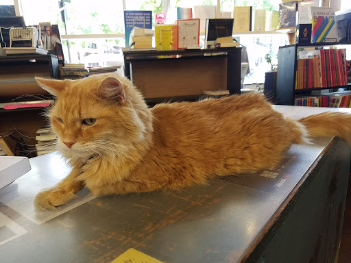 Book Store «Recycle Bookstore West», reviews and photos, 275 E Campbell Ave, Campbell, CA 95008, USA