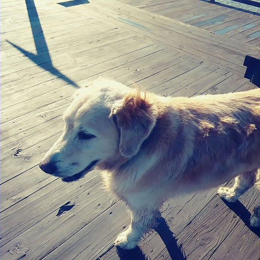 Park «Scioto Audubon Metro Park.», reviews and photos, 400 W Whittier St, Columbus, OH 43215, USA