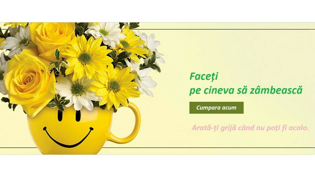 Flori-Naturale.ro - <nil>