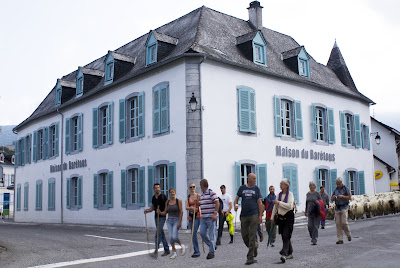 Maison Du Barétous à Arette