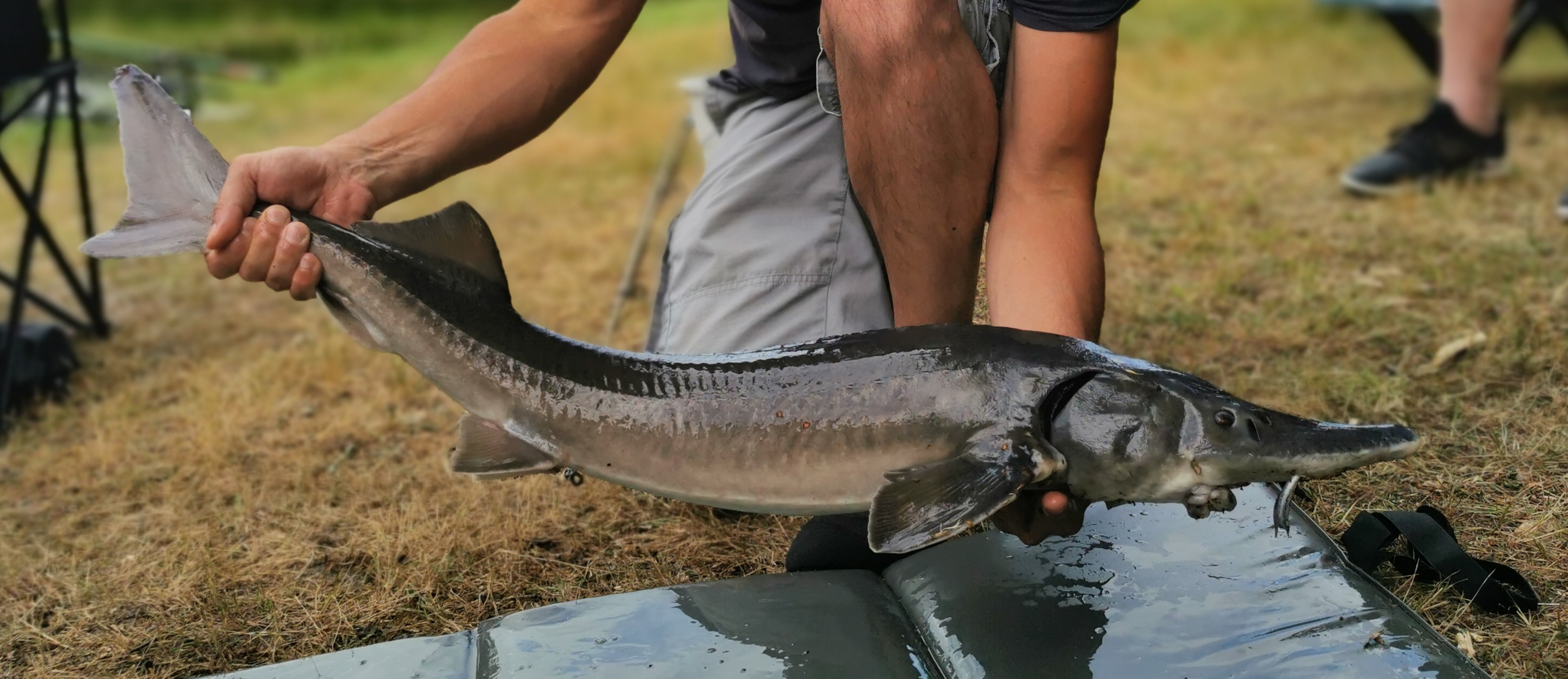 Photo n° 6 de l'avis de Marie.A fait le 12/06/2022 à 15:20