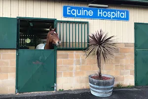 Canberra Equine Hospital image