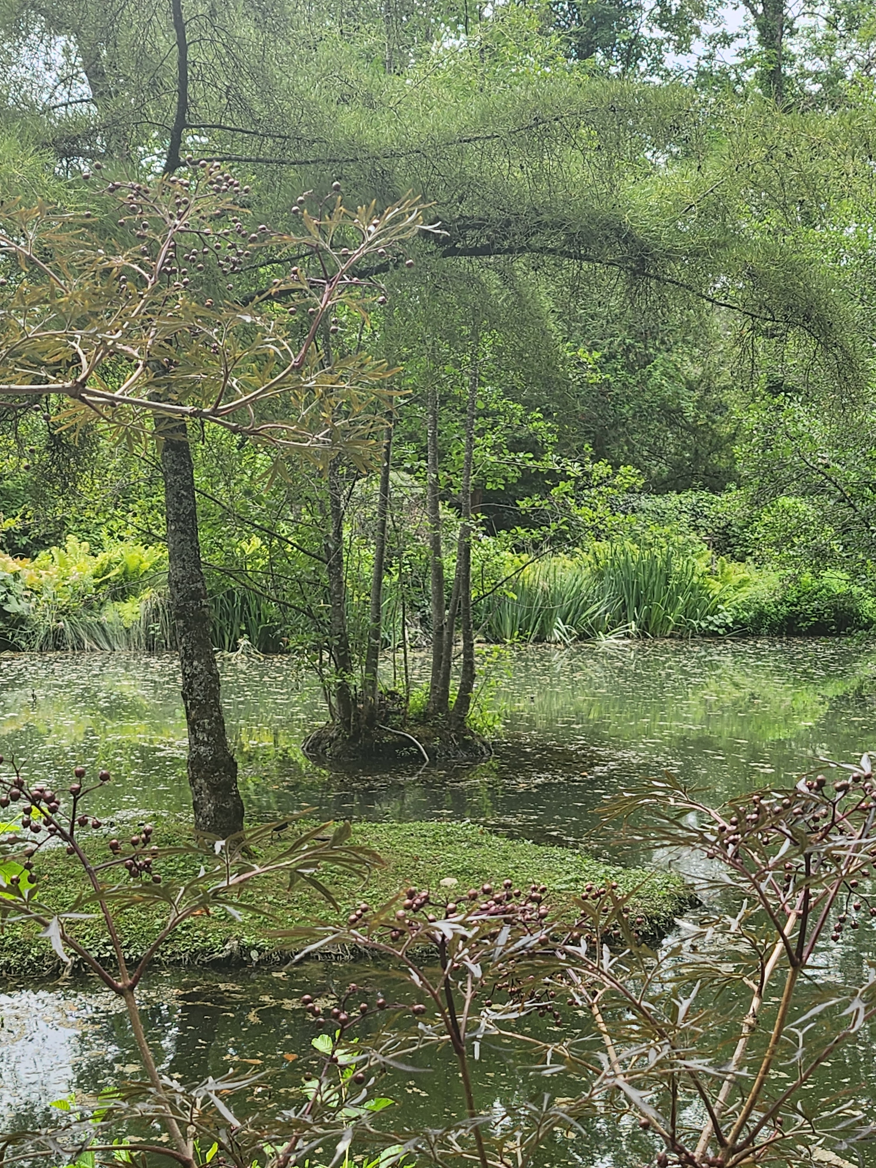 Photo n° 2 de l'avis de Julie.o fait le 31/07/2023 à 20:27