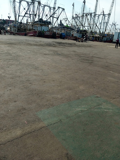 Atlantic shrimpers Ltd, NPA phase 1, Kirikiri lighter terminal, Lagos, Nigeria, Store, state Lagos