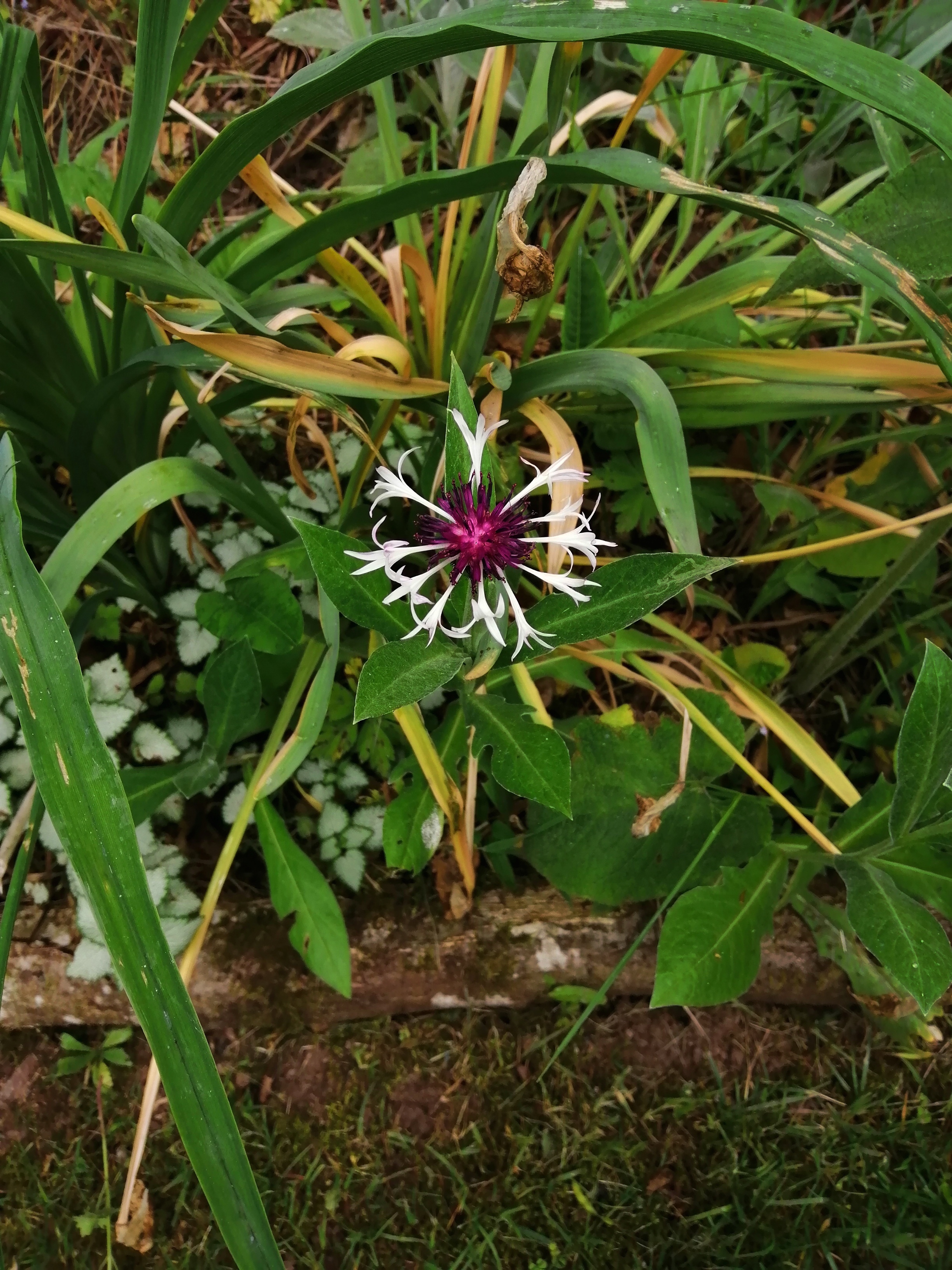 Photo n° 6 de l'avis de Anaïs.l fait le 26/05/2022 à 19:10