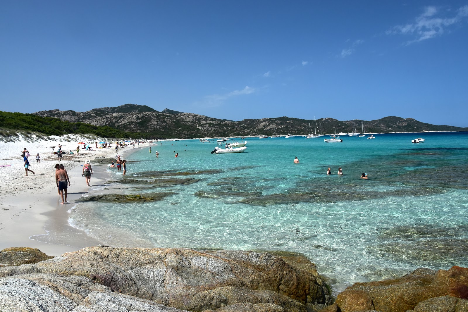 Saleccia beach photo #17