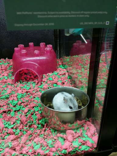 Pet Supply Store «PetSmart», reviews and photos, 3081 S 5600 W, Salt Lake City, UT 84120, USA