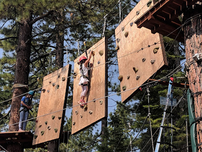 Tahoe Treetop Adventure parks