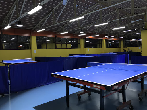 Places In Bangalore That Offer Table Tennis Facility