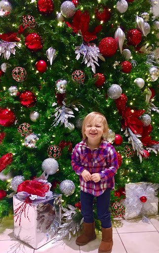 Toyota Dealer «Toyota of Naperville», reviews and photos, 1488 Ogden Ave, Naperville, IL 60540, USA