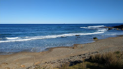 Foto di Werrong Beach zona selvaggia