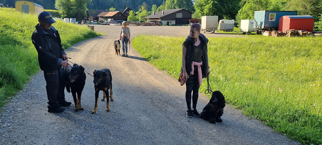 Hundeausbildung - Hundeschule