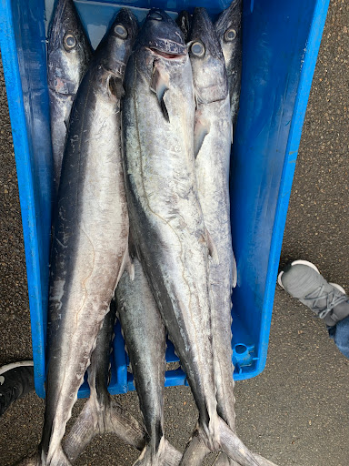 Asian Grocery Store «Y&M Asian Market», reviews and photos, 1085 Reading Rd, Mason, OH 45040, USA