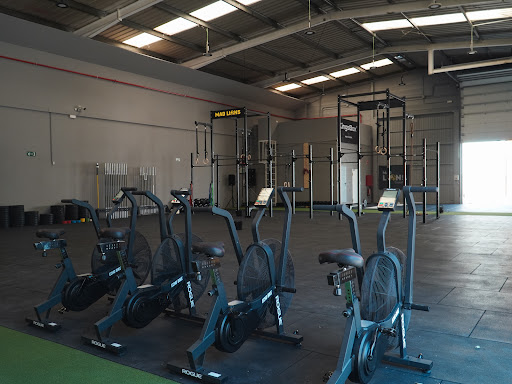 Mad Lions CrossFit en Azuqueca de Henares, Guadalajara