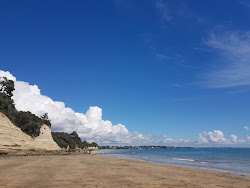 St Leonards Bay Beach'in fotoğrafı vahşi alan