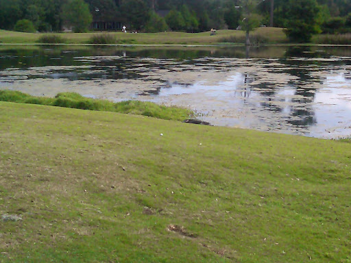 Golf Club «True Blue Golf Plantation», reviews and photos, 900 Blue Stem Dr, Pawleys Island, SC 29585, USA