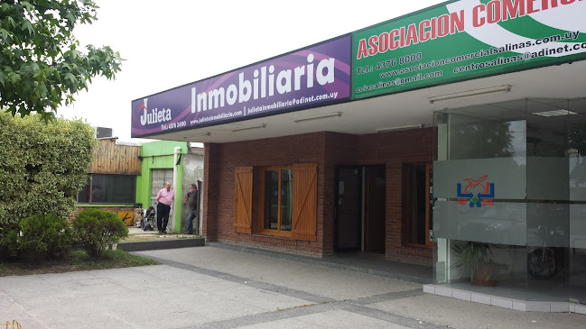 Inmobiliaria Julieta