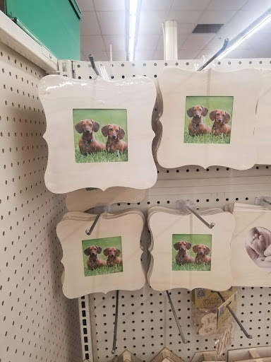 Dollar Store «Dollar Tree», reviews and photos, 136 Elm St, Enfield, CT 06082, USA