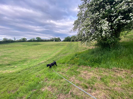 Longhill Dog Kennels & Cattery