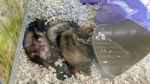 Pet Supply Store «Petco Animal Supplies», reviews and photos, 12444 NW 10th St #301, Yukon, OK 73099, USA