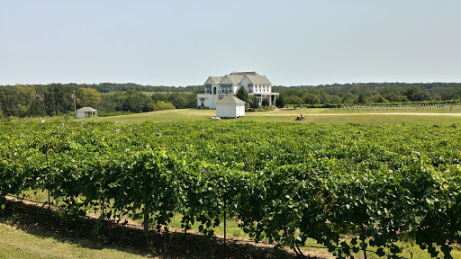 Winery «Tara Vineyard and Winery», reviews and photos, 8603 Co Rd 3914, Athens, TX 75752, USA