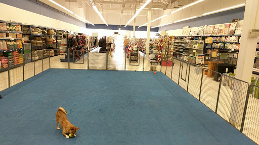 Pet Supply Store «Choice Pet - OUTLET STORE», reviews and photos, 63 Washington Ave, North Haven, CT 06473, USA