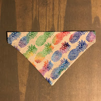 Polished Paws and Claws - Photo 7 - Car repair in , Gainesville