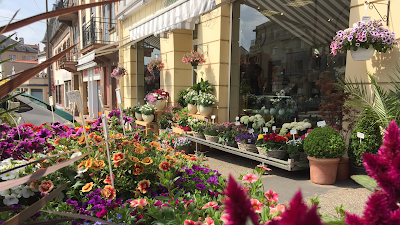 Alpha Fleurs à Sarrebourg