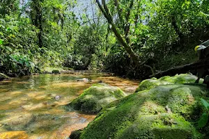 Cachoeira da Tartaruga image