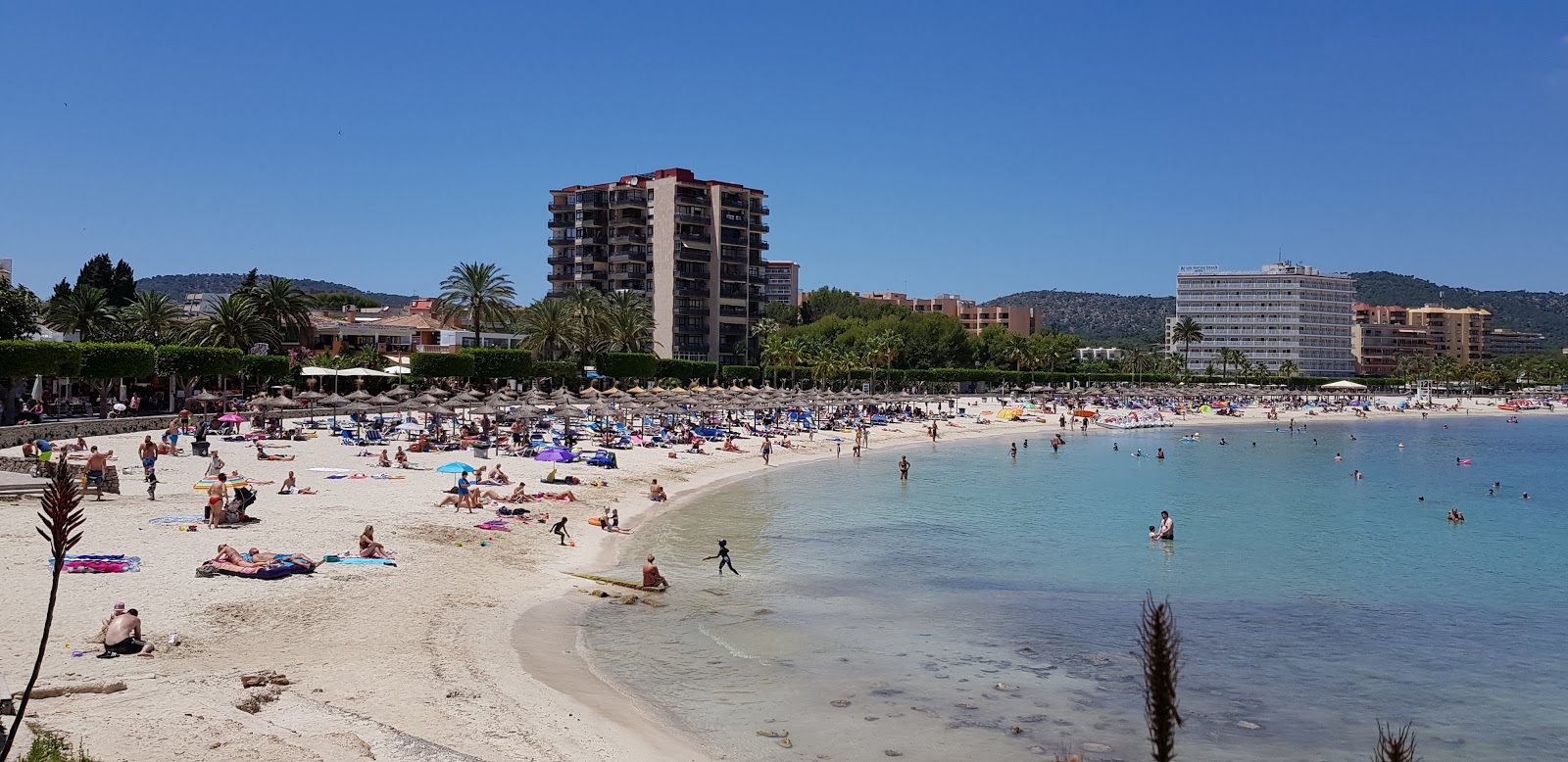 Zdjęcie Plaża Palmanova z powierzchnią turkusowa czysta woda