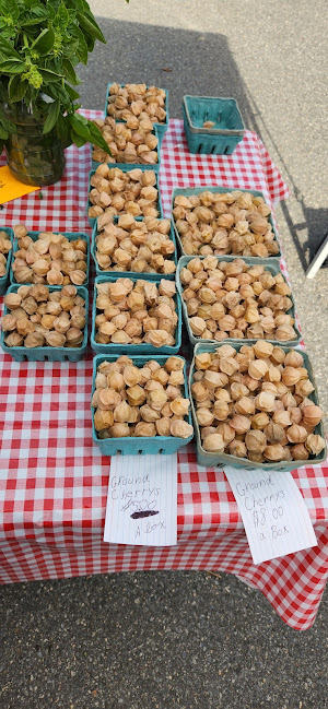 Brewer Farmers Market