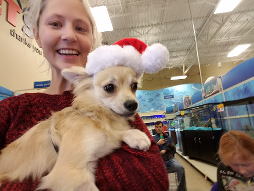 Pet Supply Store «PetSmart», reviews and photos, 1157 E North Ave, Belton, MO 64012, USA