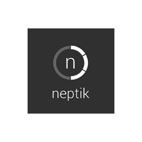 Neptik - Website designer