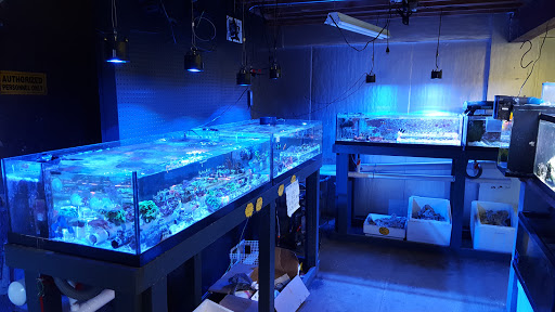 Pet Supply Store «Oddball Pets and Aquariums», reviews and photos, 262 Joseph St, Pittsburgh, PA 15227, USA