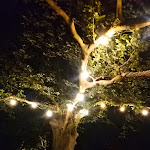 Photo n°2 de l'avis de Alessia.o fait le 29/08/2021 à 22:25 sur le  Dandelion Como Suites & Park à Villa Guardia