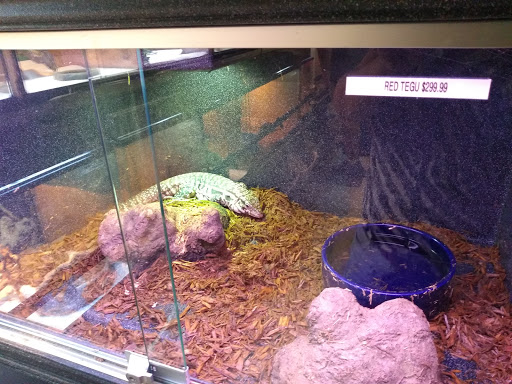 Pet Supply Store «Pet Bazaar», reviews and photos, 490 FL-436, Casselberry, FL 32707, USA