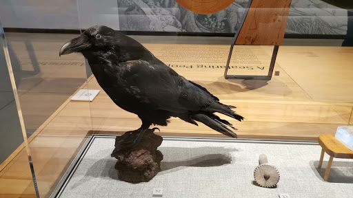 Museum «Nordic Heritage Museum», reviews and photos, 3014 NW 67th St, Seattle, WA 98117, USA