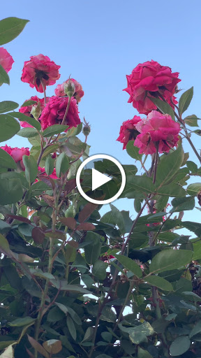 Home Improvement Store «The Home Depot», reviews and photos, 3051 E Main St, Mohegan Lake, NY 10547, USA