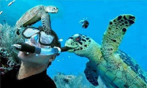 Dive Shop «Sea Sports Scuba - The Woodlands», reviews and photos, 25701 Interstate 45 N, Spring, TX 77380, USA