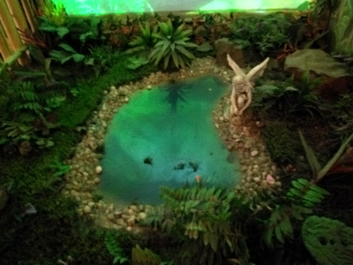 Resort «Great Wolf Lodge Concord», reviews and photos, 10175 Weddington Road, Concord, NC 28027, USA