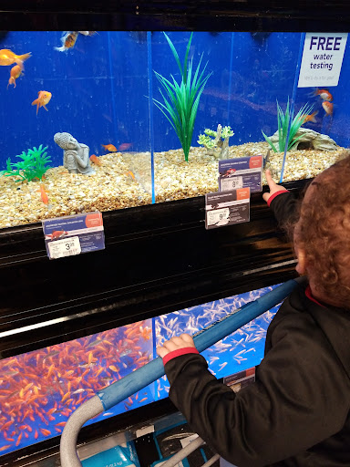 Shopping Mall «Northgate Mall Tullahoma», reviews and photos, 1600 N Jackson St, Tullahoma, TN 37388, USA