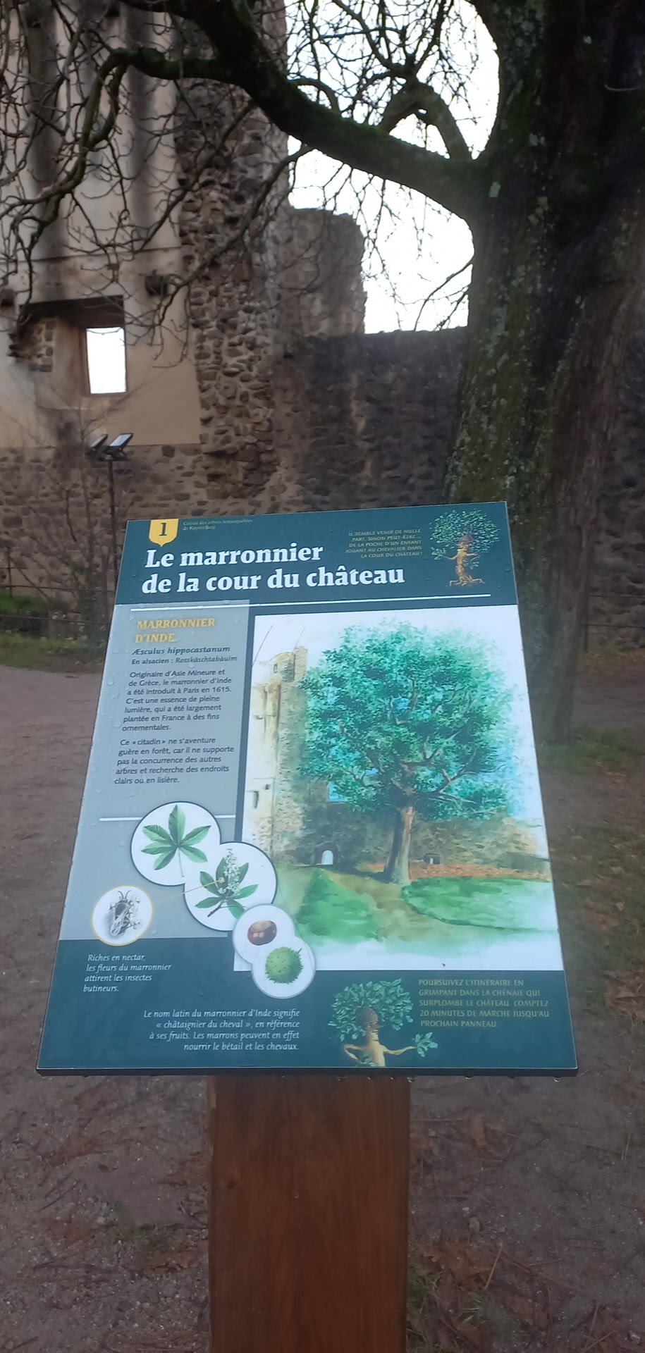 Photo n° 17 de l'avis de Djamylive.h fait le 07/12/2023 à 07:25