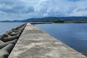 Matsushima image