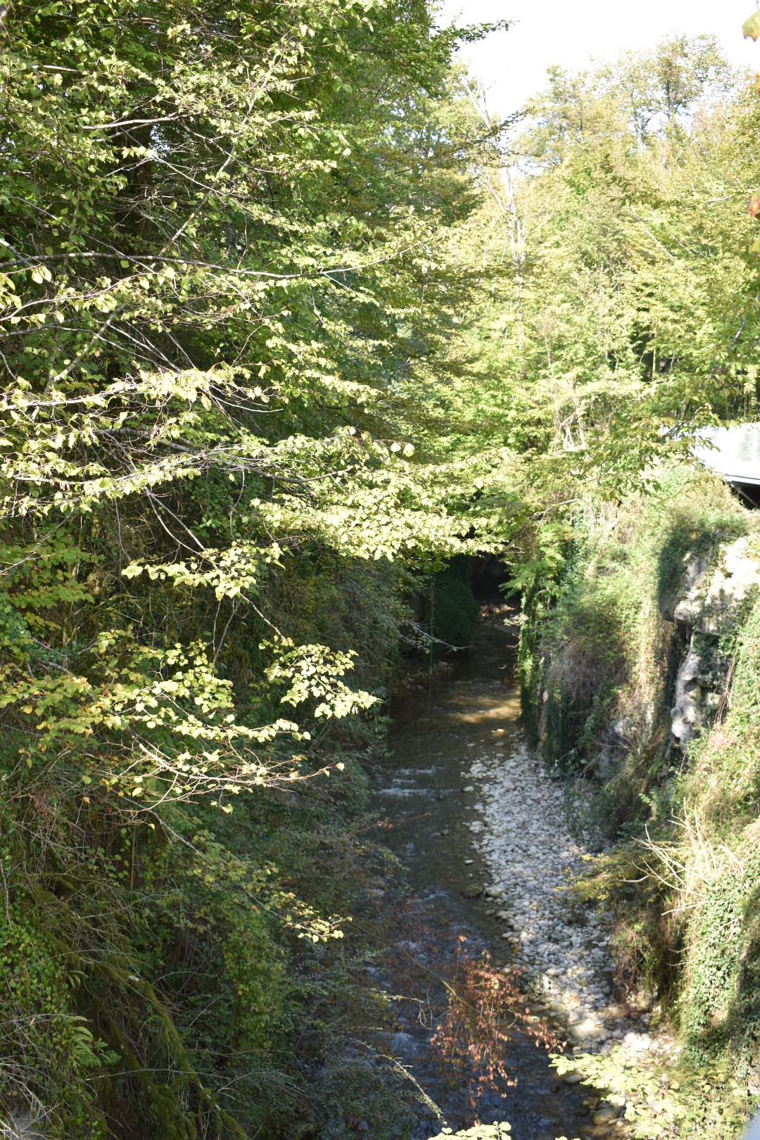 Photo n° 2 de l'avis de christiane.a fait le 09/10/2021 à 15:47