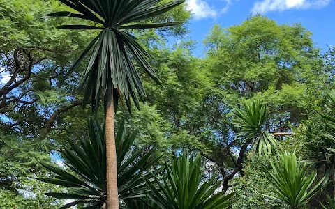 National Botanic Gardens image