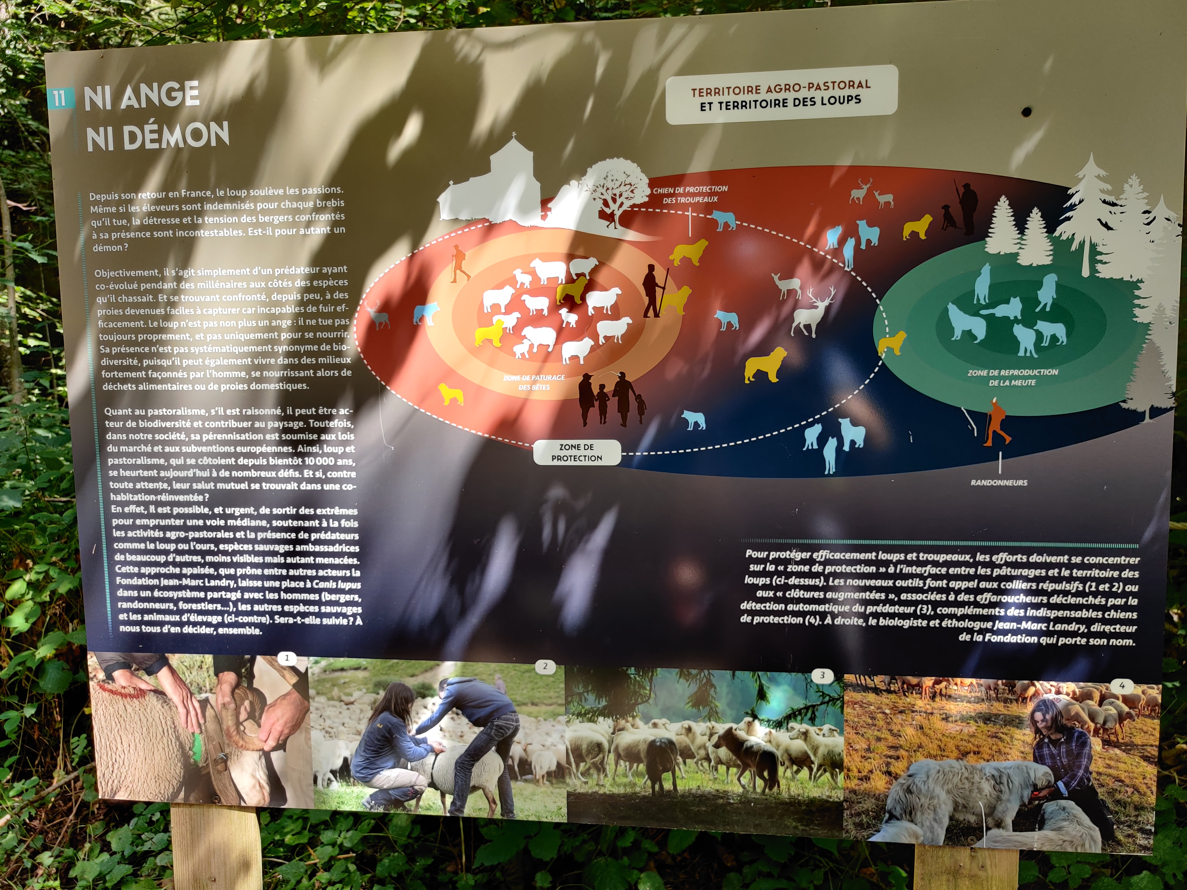 Photo n° 8 de l'avis de Julien.o fait le 14/08/2022 à 13:43