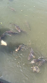 児ノ口公園